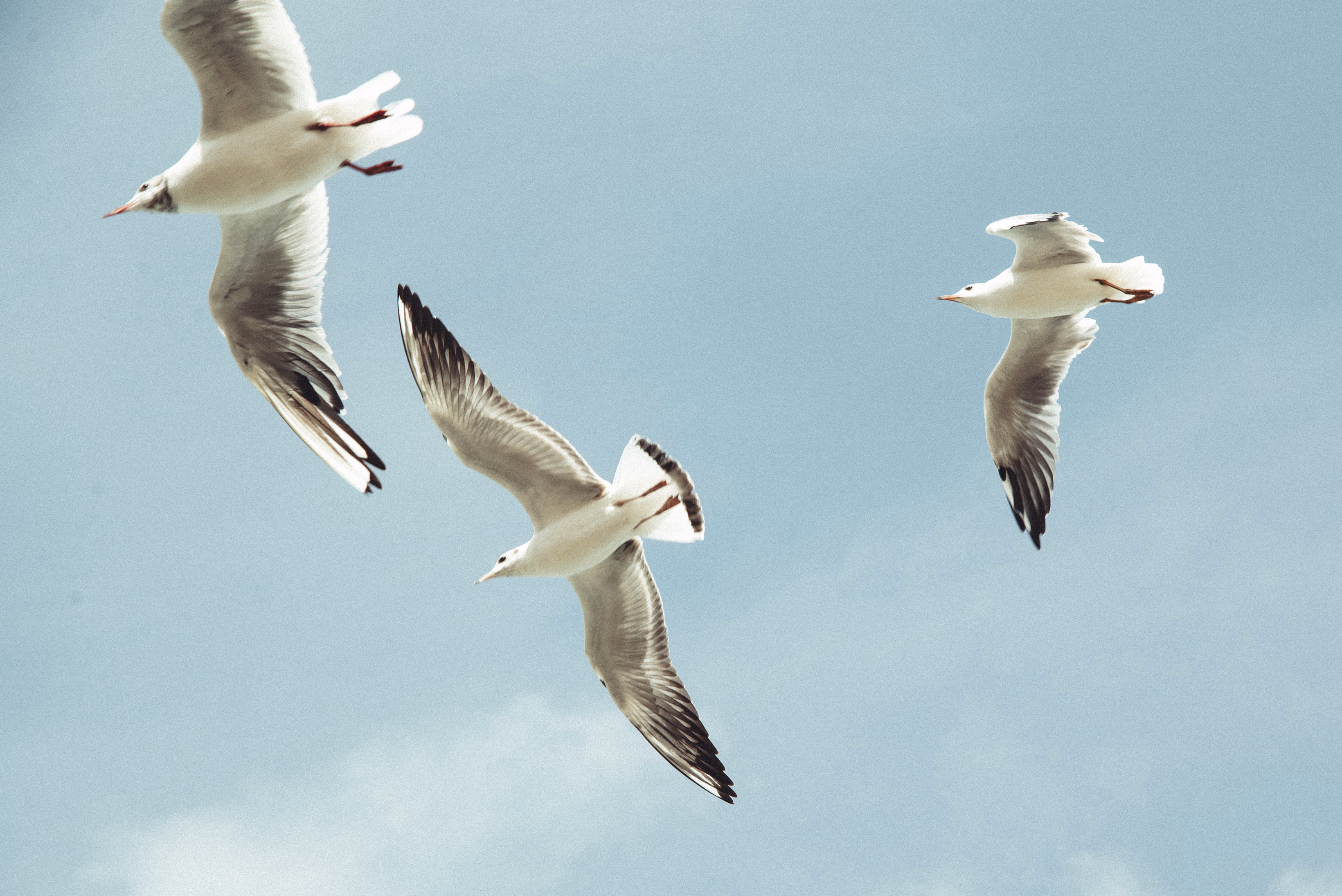 Калининград — 11