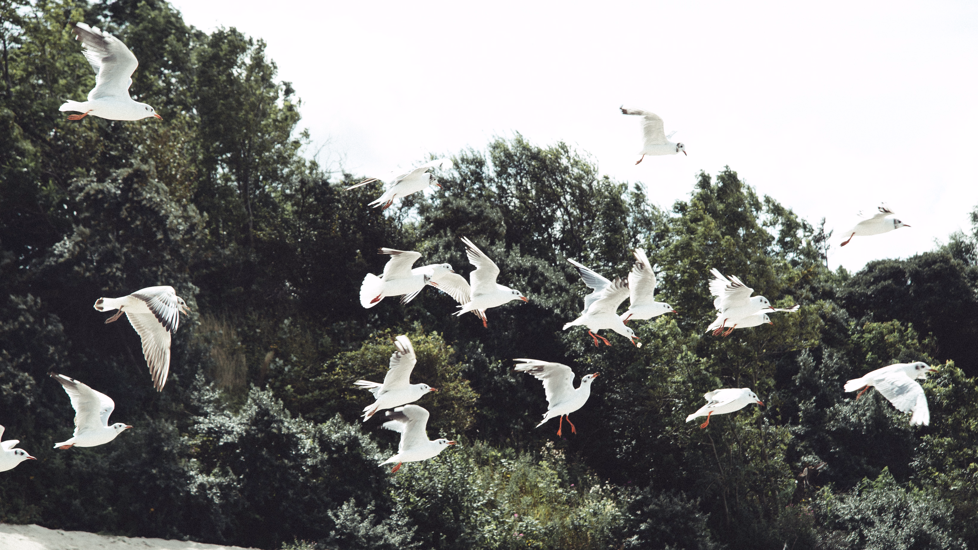 Калининград — 9