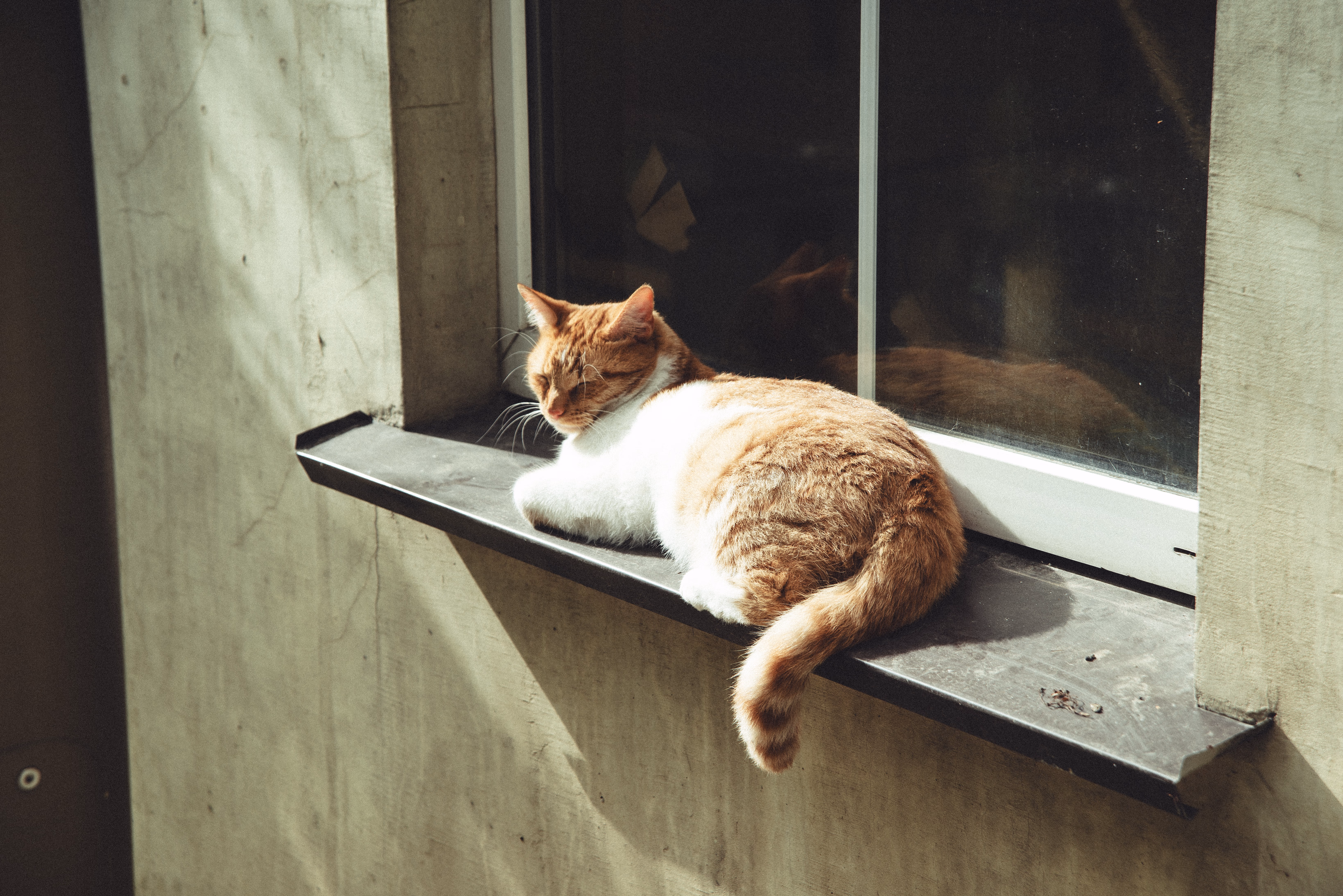 Калининград — 5