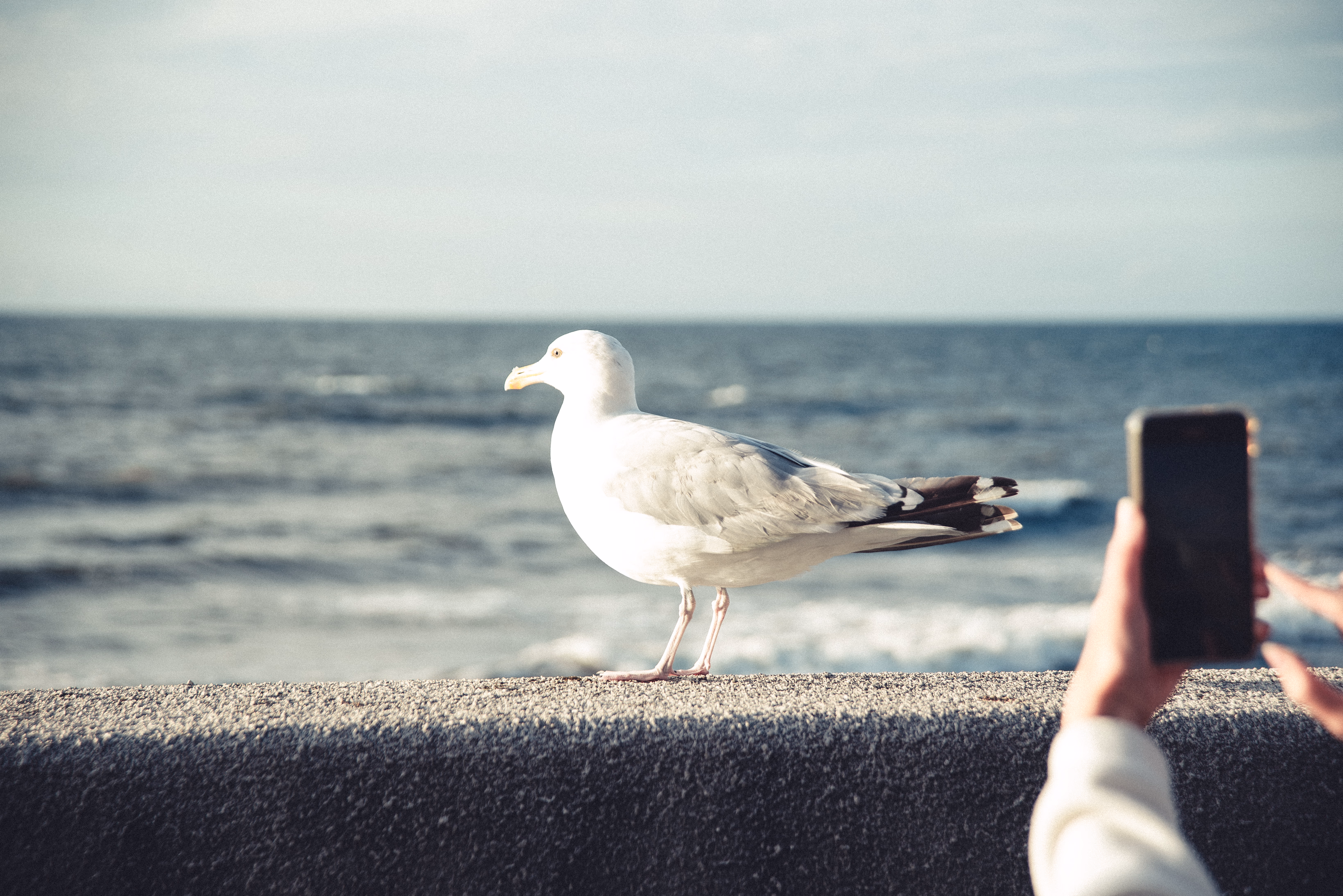 Калининград — 12